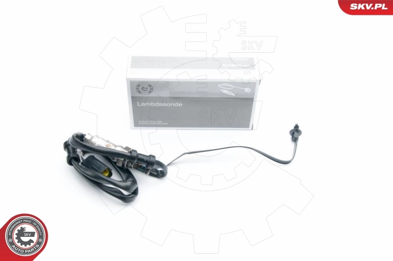 Oxygen Sensor